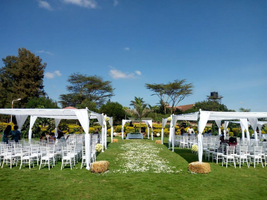Canopy Tent