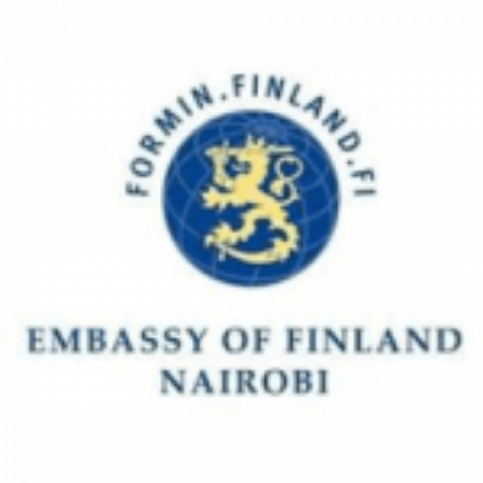 Embassy of Finland Nairobi client logo