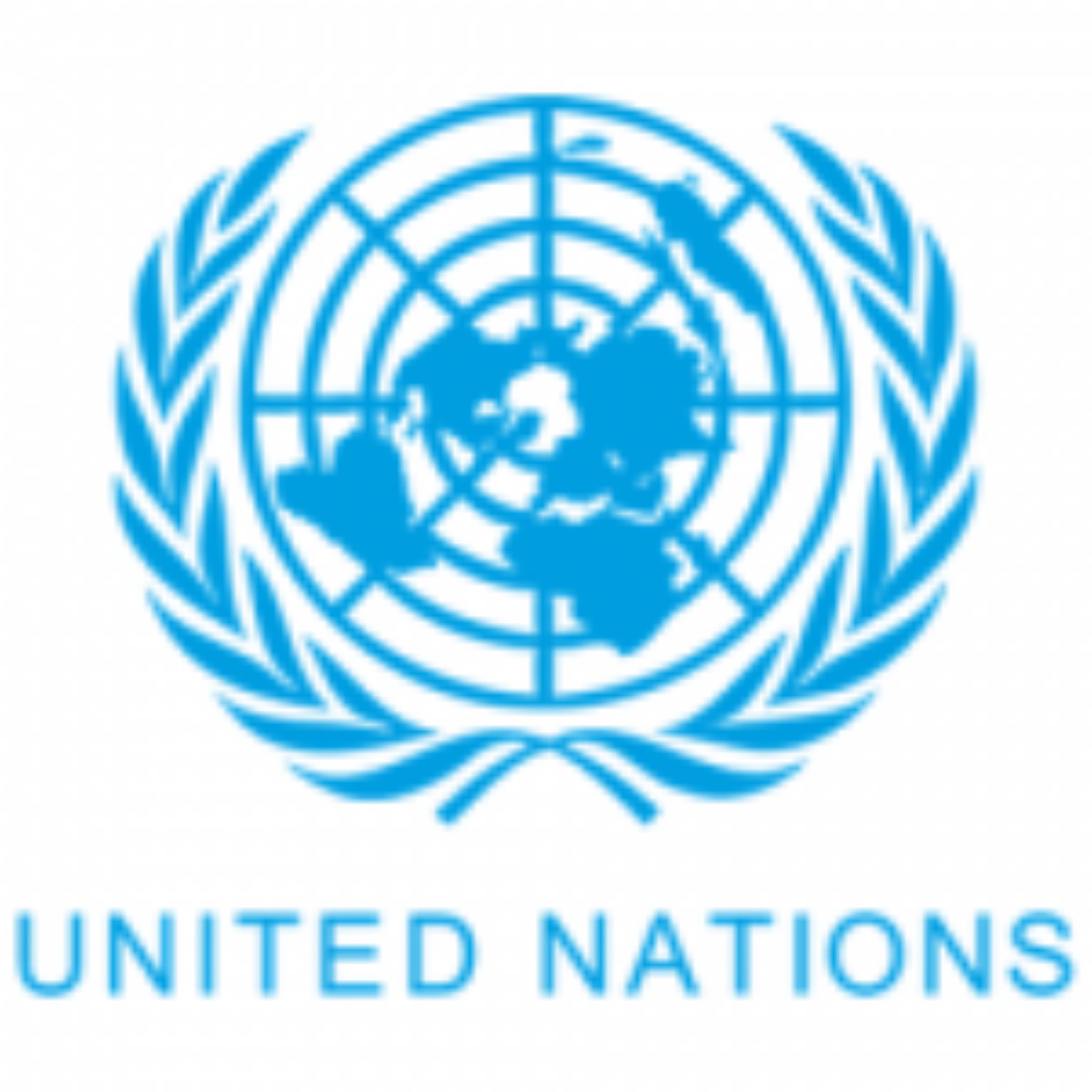 United Nations client logo